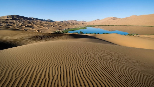 The Role of Desert Water in the Ecosystem