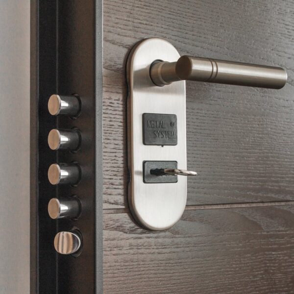 Choosing the Right Lock: A Comprehensive Guide to Door Security